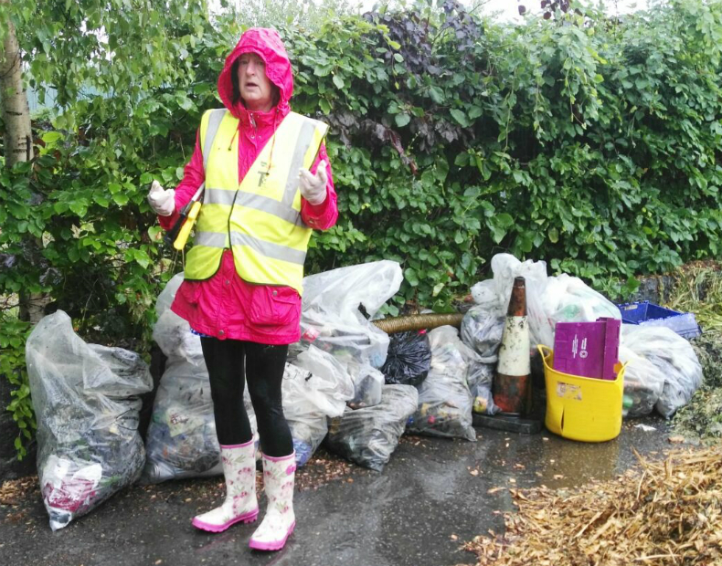 Rubbish bags collected from Sean Walsh Park in May 2017